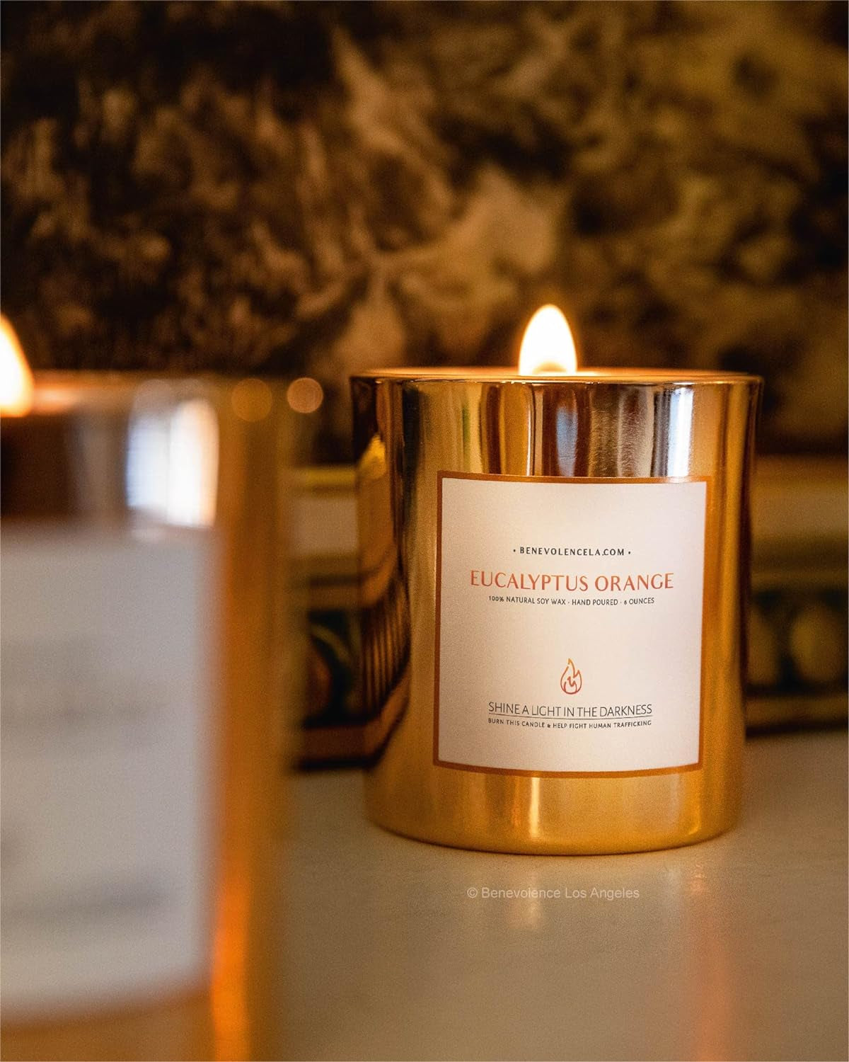 Benevolence Candles Eucalyptus Orange Wood Wick Candles, Soy Scented Candles for Women | 8 Oz Scented Candles for Home Scented | Eucalyptus Candles | Christmas Candles | Men Candles, Bathroom Candle